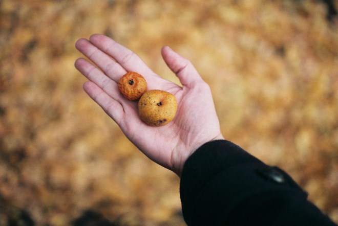 Life style by Anna Gawlak - Dat Tran Blog (5)