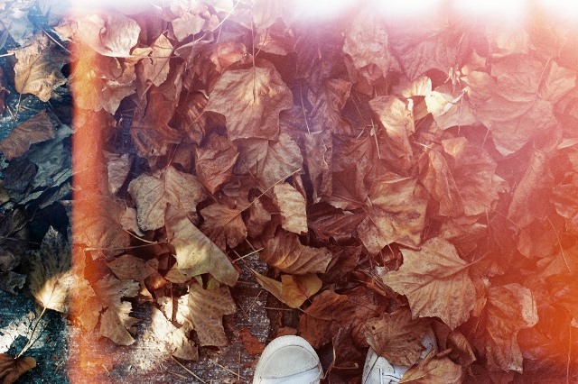 C'est le pied by Marion Berrin - Dat Tran blog (14)