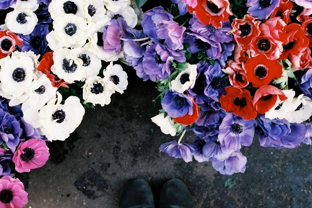 C'est le pied by Marion Berrin - Dat Tran blog (24)
