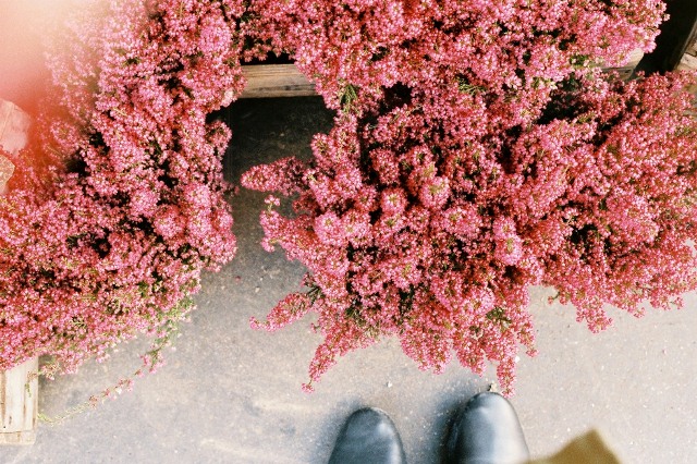 C'est le pied by Marion Berrin - Dat Tran blog (27)
